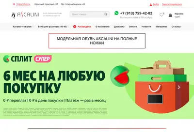 Снимок главной страницы ascalini-sib.ru