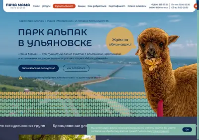 Снимок главной страницы alpakaul.ru