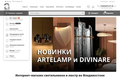 Снимок главной страницы argusdv.ru