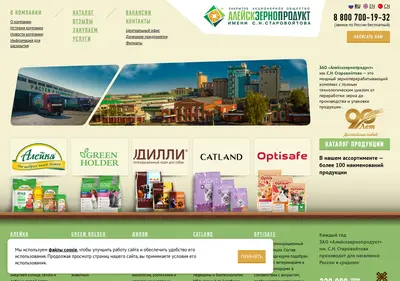 Снимок главной страницы azpaley.ru