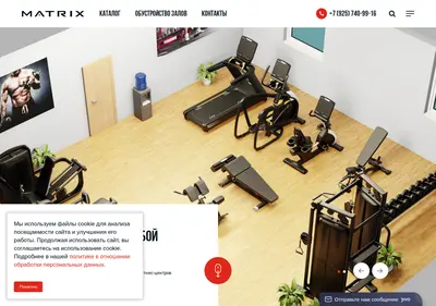 Снимок главной страницы matrixfitness.su