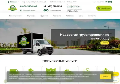 Снимок главной страницы buryakof.ru