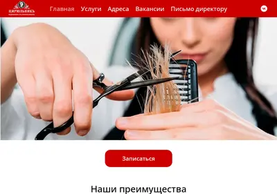 Снимок главной страницы cirulnik61.ru