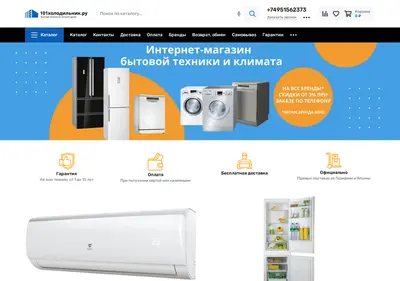 Снимок главной страницы 101holodilnik.ru