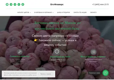 Снимок главной страницы btcflowers.ru