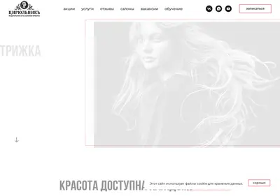 Снимок главной страницы cirulnik24.ru