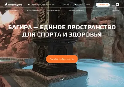 Снимок главной страницы bagira24.ru
