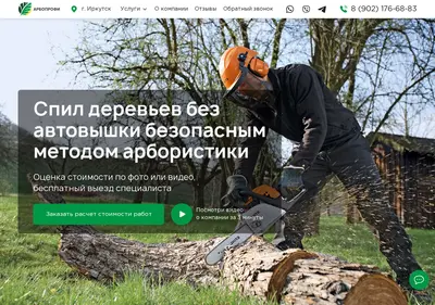 Снимок главной страницы arboprofi38.ru