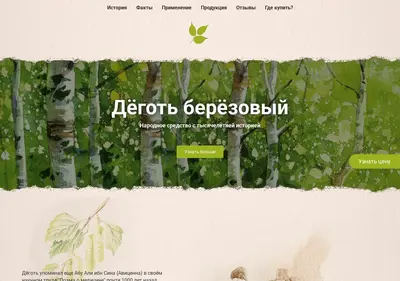Снимок главной страницы berestin.ru