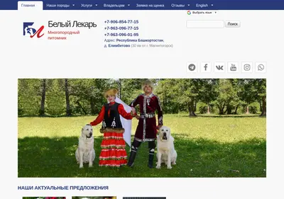 Снимок главной страницы beliy-lekar.ru