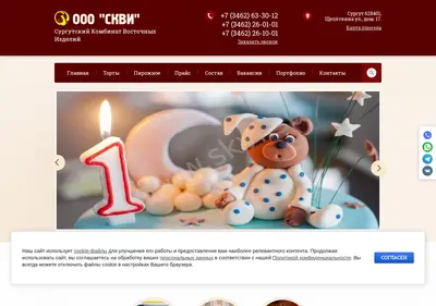 Снимок главной страницы skvi.su