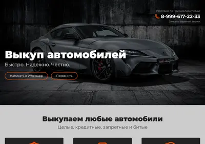 Снимок главной страницы autovikup125.ru