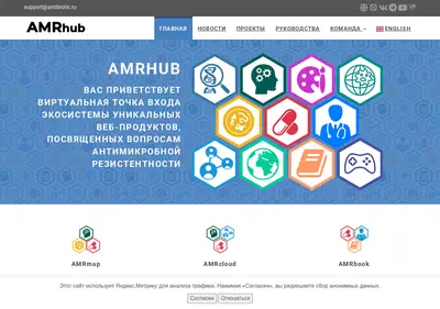 Снимок главной страницы amrhub.ru