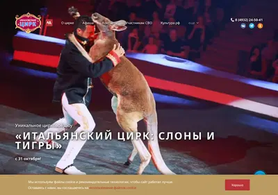 Снимок главной страницы circus-ivanovo.ru