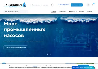 Снимок главной страницы boshanil.ru