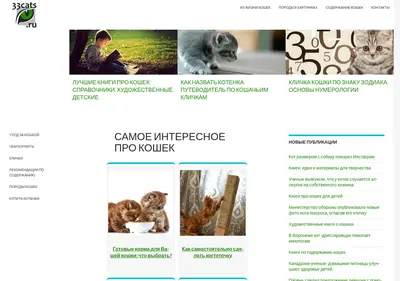 Снимок главной страницы 33cats.ru