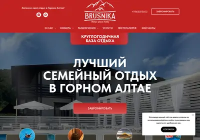 Снимок главной страницы brusnika-aya.ru