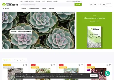 Снимок главной страницы cactusenok.ru