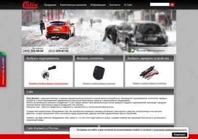 Снимок главной страницы calix.com.ru