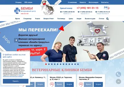 Снимок главной страницы bembivet.ru