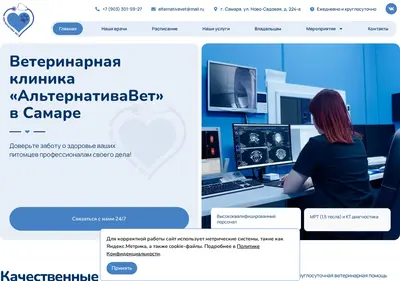 Снимок главной страницы alternativavet63.ru