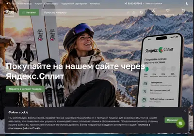 Снимок главной страницы 2ski.ru