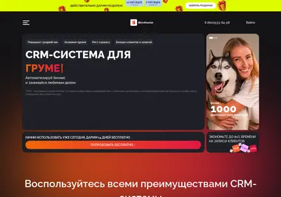 Снимок главной страницы bimassist.ru