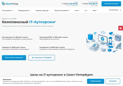 Снимок главной страницы bitraid.ru
