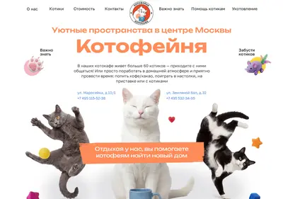 Снимок главной страницы catcoffeeshop.ru