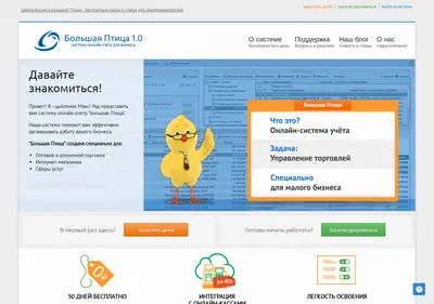 Снимок главной страницы bigbird.ru