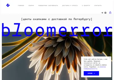 Снимок главной страницы bloomerror.ru