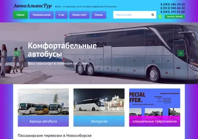 Снимок главной страницы atur54.ru