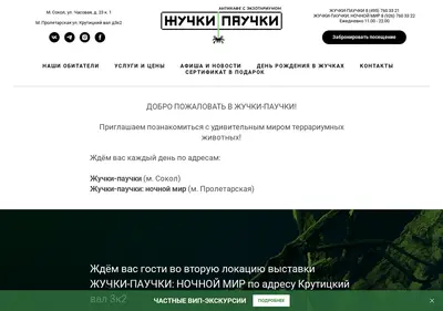 Снимок главной страницы bugcafe.ru
