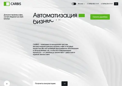 Снимок главной страницы carbis.ru