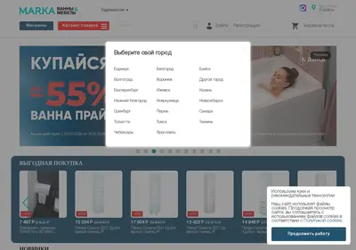 Снимок главной страницы centrvann.ru