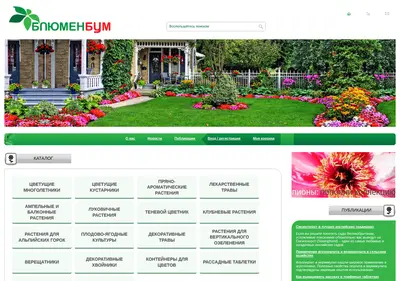 Снимок главной страницы blumenboom.ru