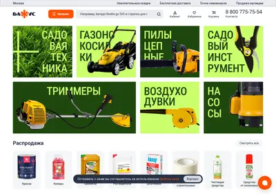 Снимок главной страницы bafus.ru