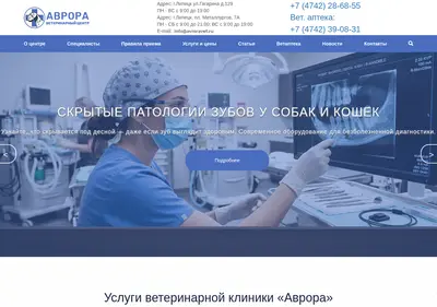 Снимок главной страницы avroravet.ru
