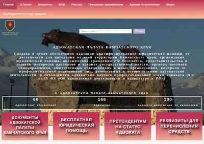 Снимок главной страницы advokatkamchatka.ru