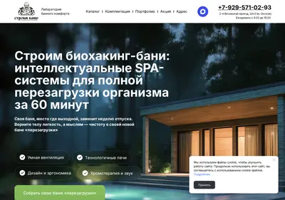 Снимок главной страницы bani-lab.ru