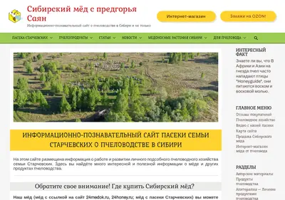 Снимок главной страницы 24medok.ru