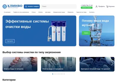 Снимок главной страницы clinvo.ru
