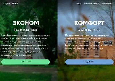 Снимок главной страницы bozarya.ru