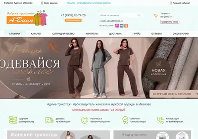 Снимок главной страницы a-dina.ru