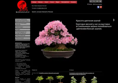 Снимок главной страницы bonsaisale.ru