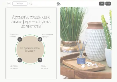 Снимок главной страницы aridahome.ru