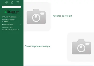 Снимок главной страницы akcent-pitomnik.ru