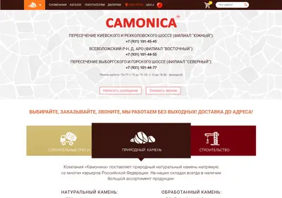 Снимок главной страницы camonica.ru