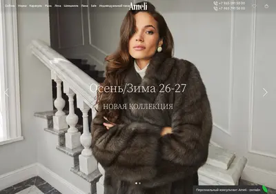 Снимок главной страницы ameli.ru