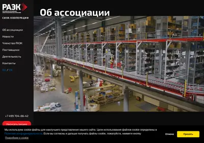 Снимок главной страницы raec.su